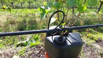 Plastic irrigation tank with a connected black drip line running along a vine-covered area in a field.
