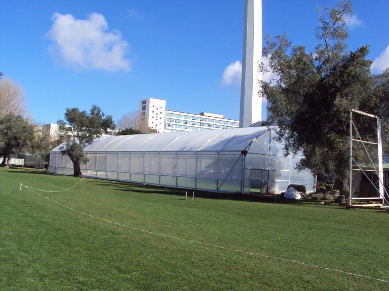 indoor cricket training shelter