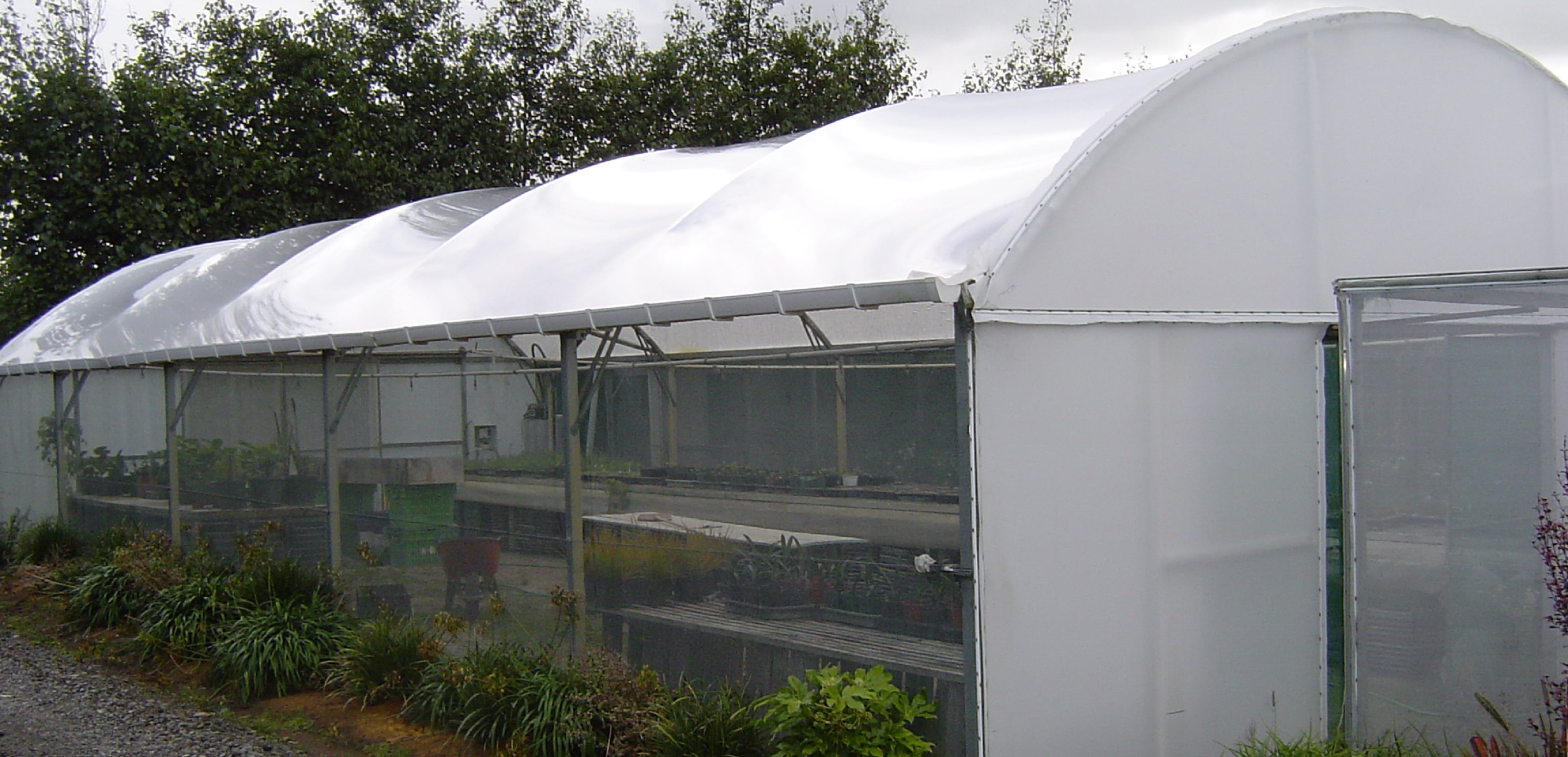 shaded greenhouse polythene