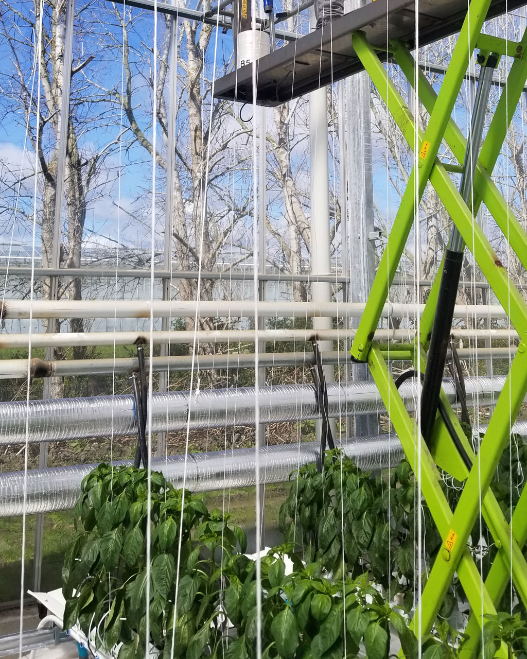 Earthtwine® Indoor Bio Twine - Image 2